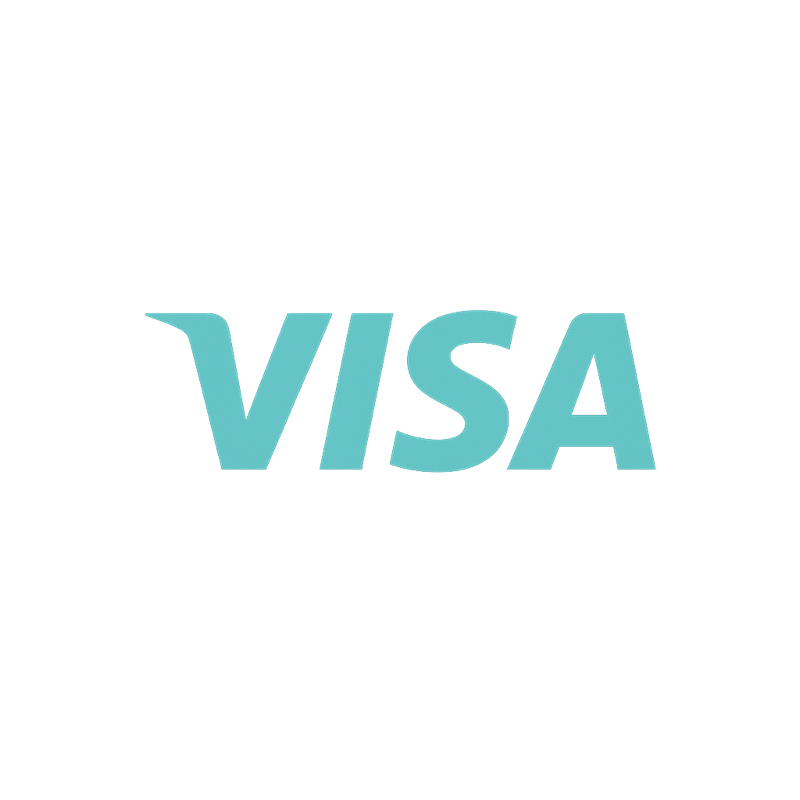 Visa payment badge
